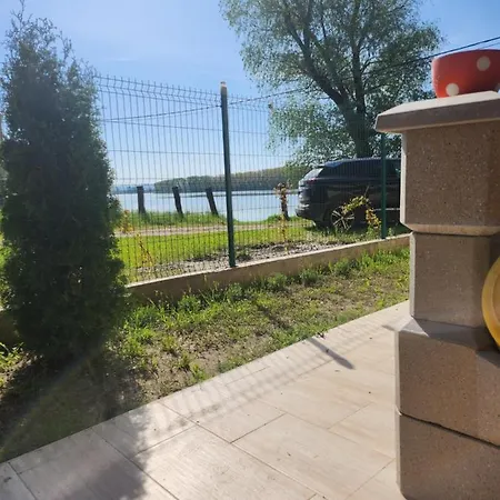 Koreni Villa Celarevo
